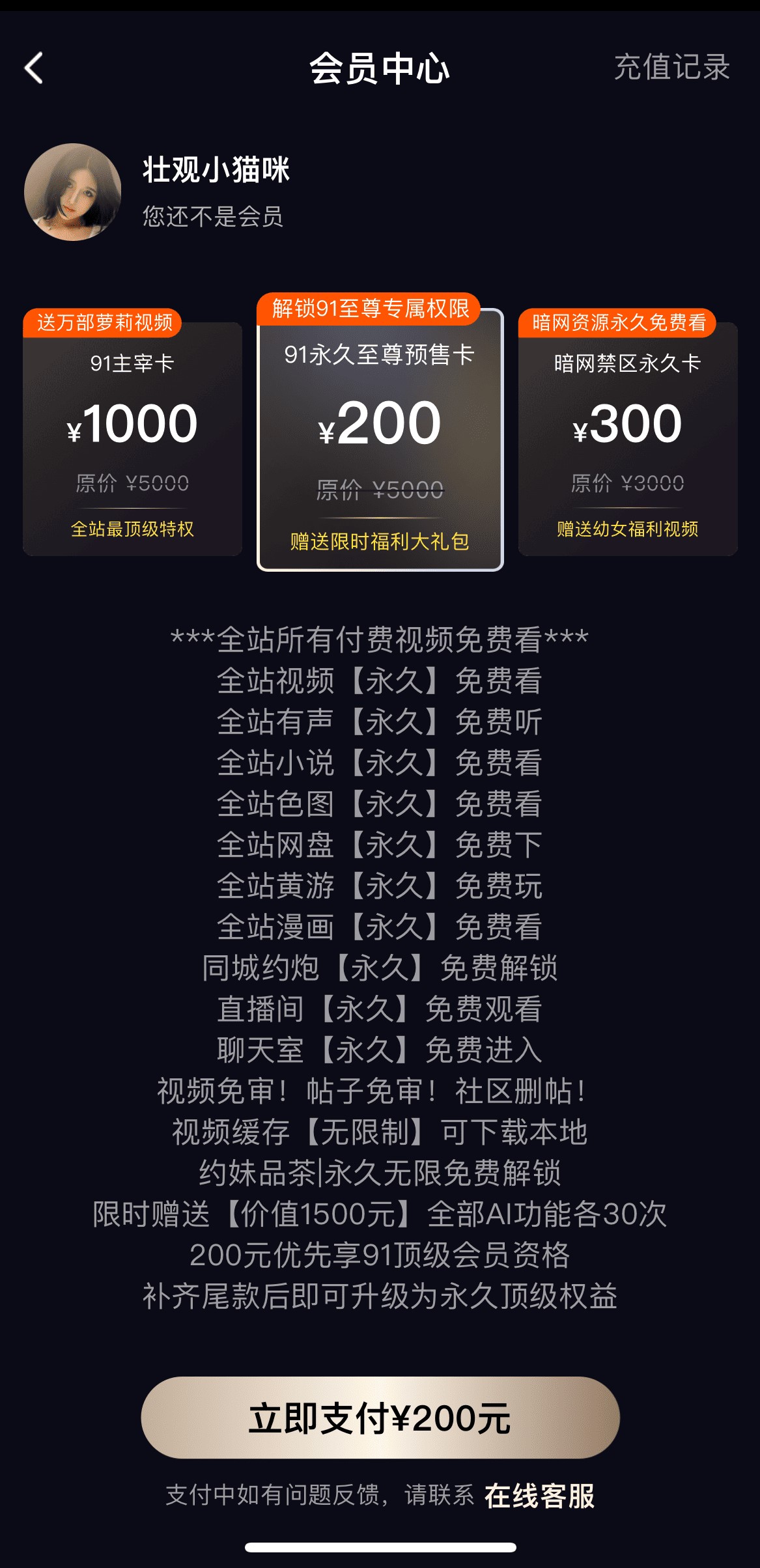91PO官方网站VIP会员开通套餐权益说明页面